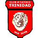 Trinidad de San Juan Micrositio Oficial